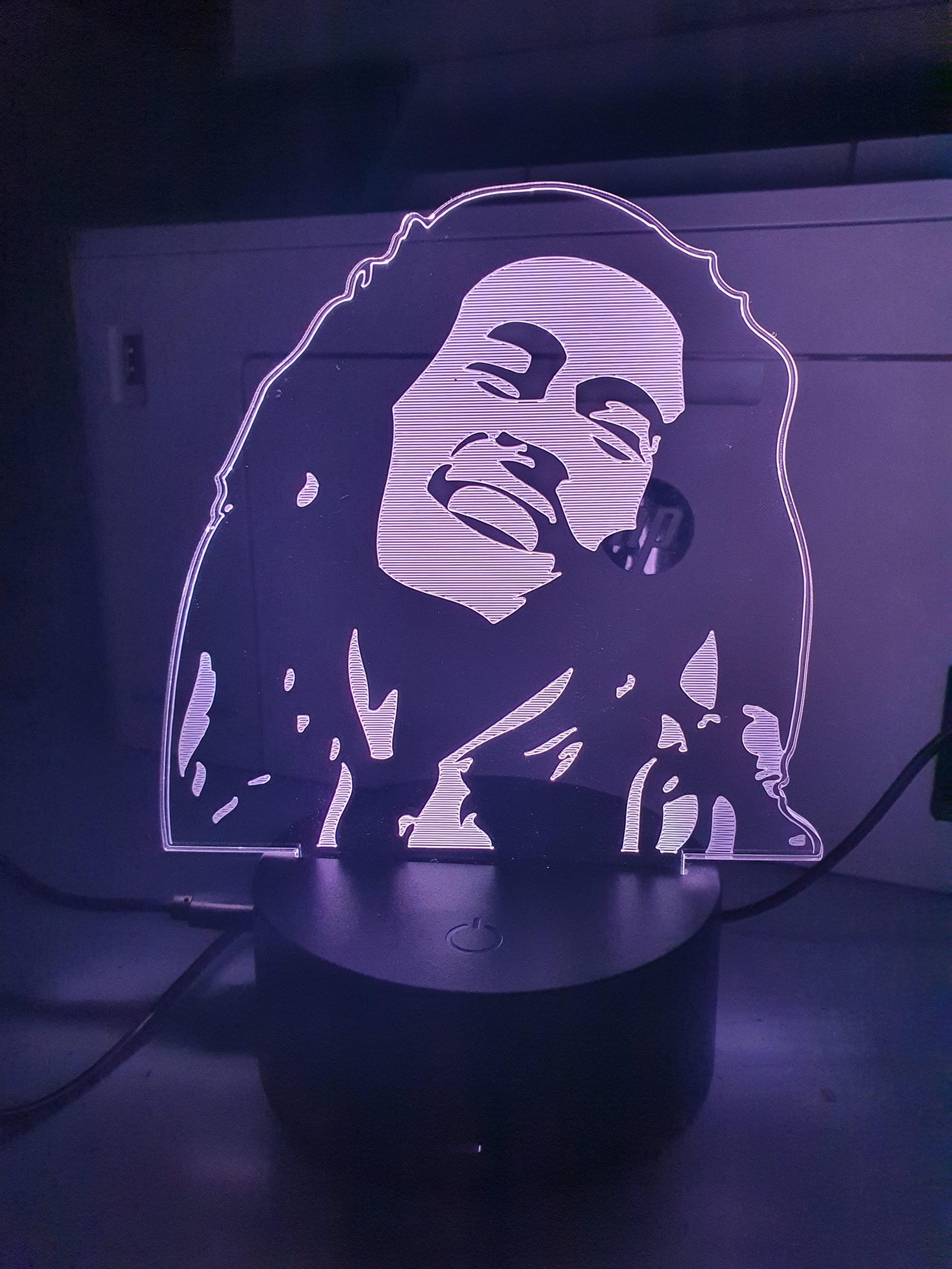 Lampe Veilleuse à LED illustration Bob Marley