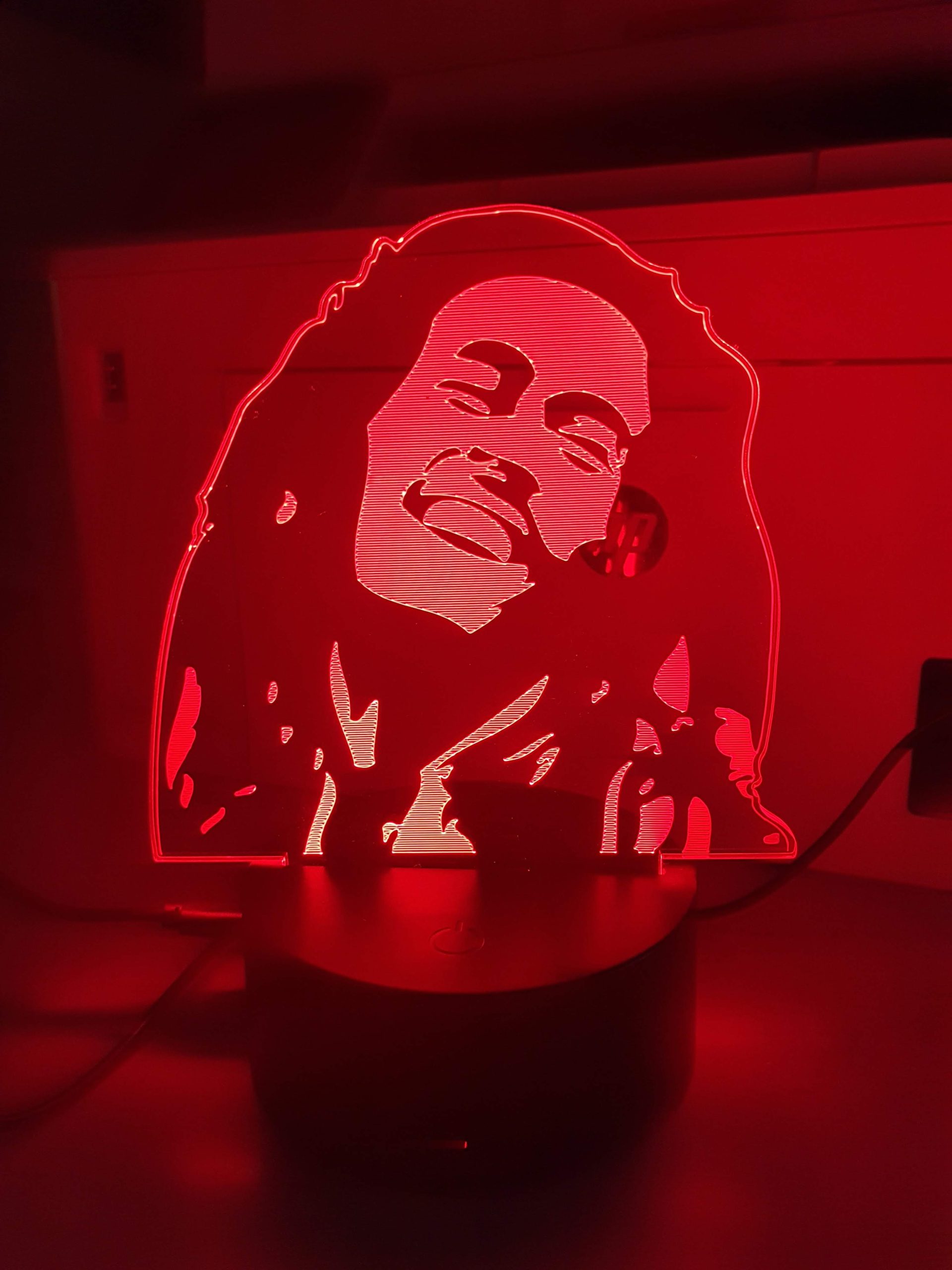 Lampe Veilleuse à LED illustration Bob Marley – Image 7