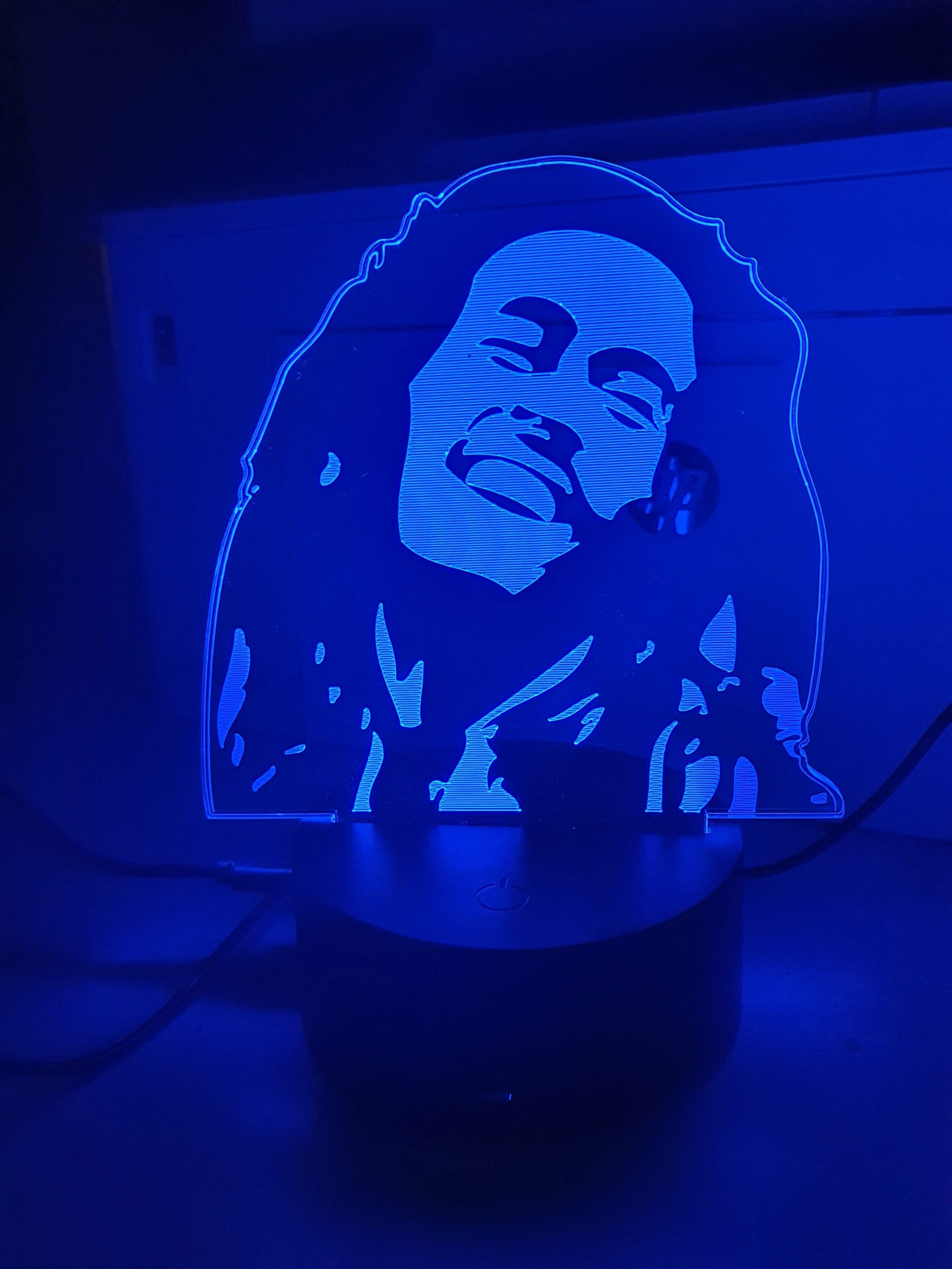 Lampe Veilleuse à LED illustration Bob Marley – Image 5