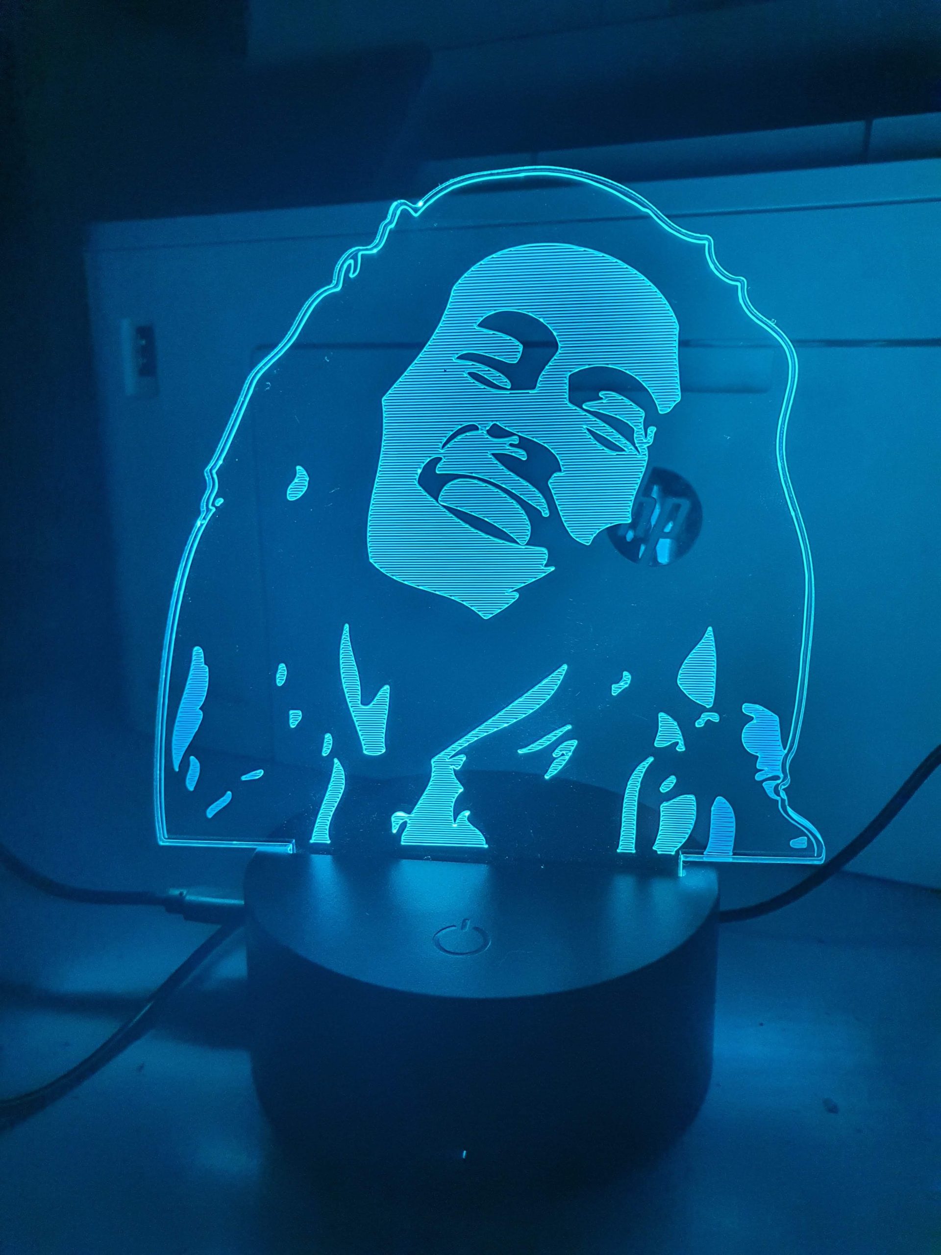 Lampe Veilleuse à LED illustration Bob Marley – Image 2