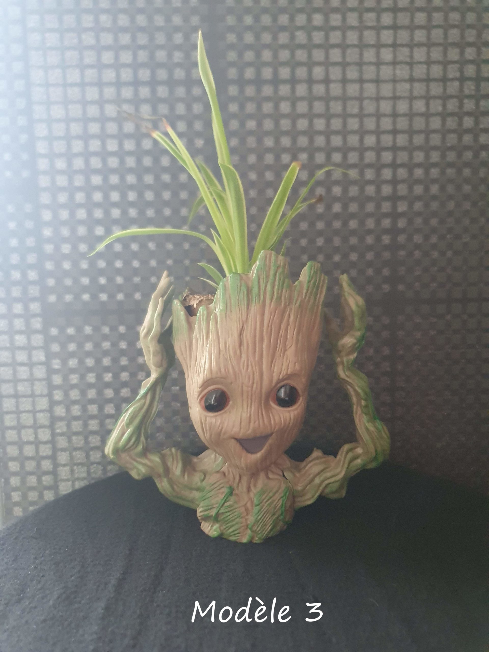4 modèles pot groot