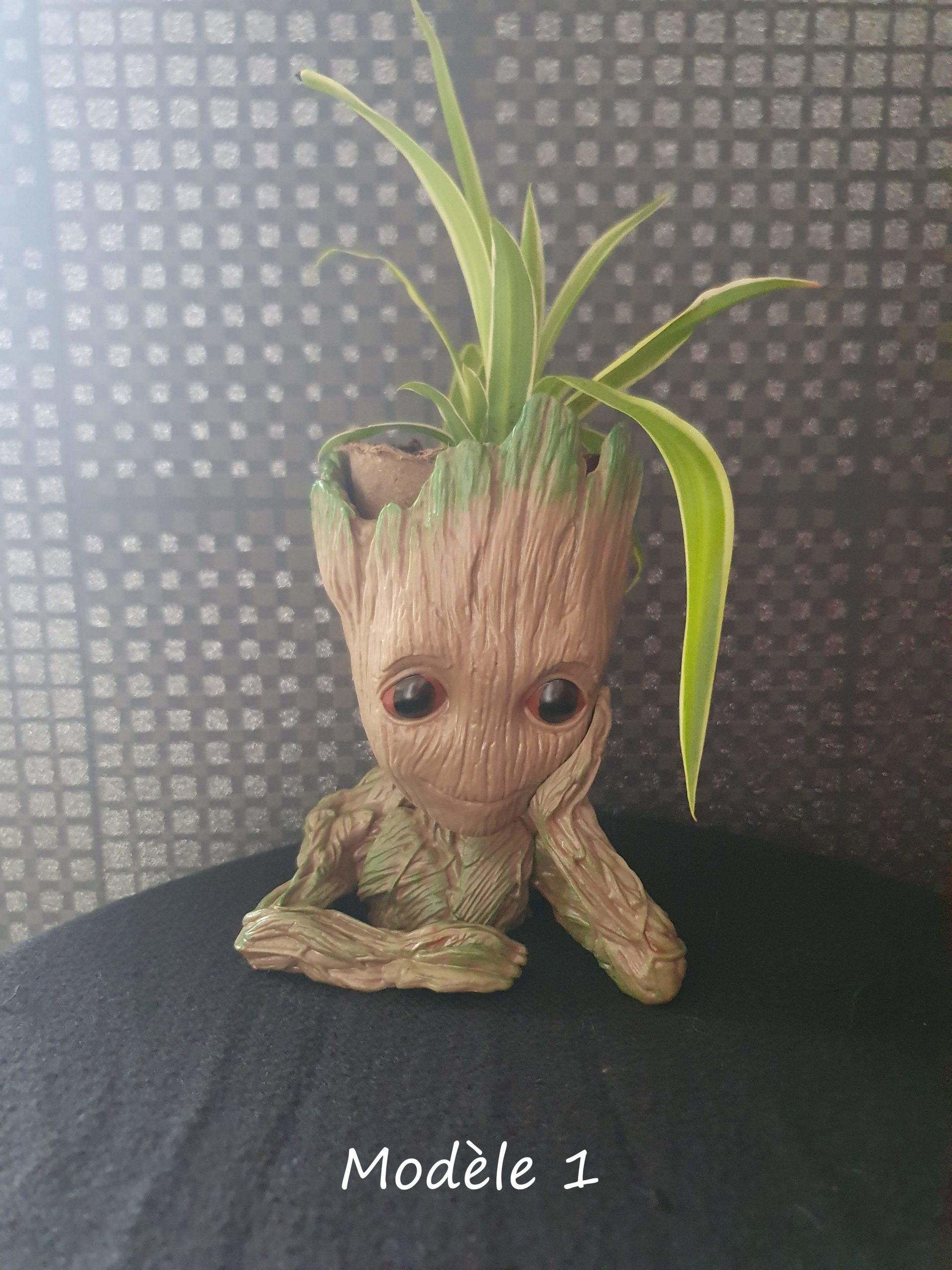 4 modèles pot groot