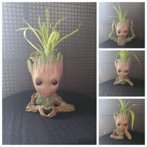 4 modèles pot groot