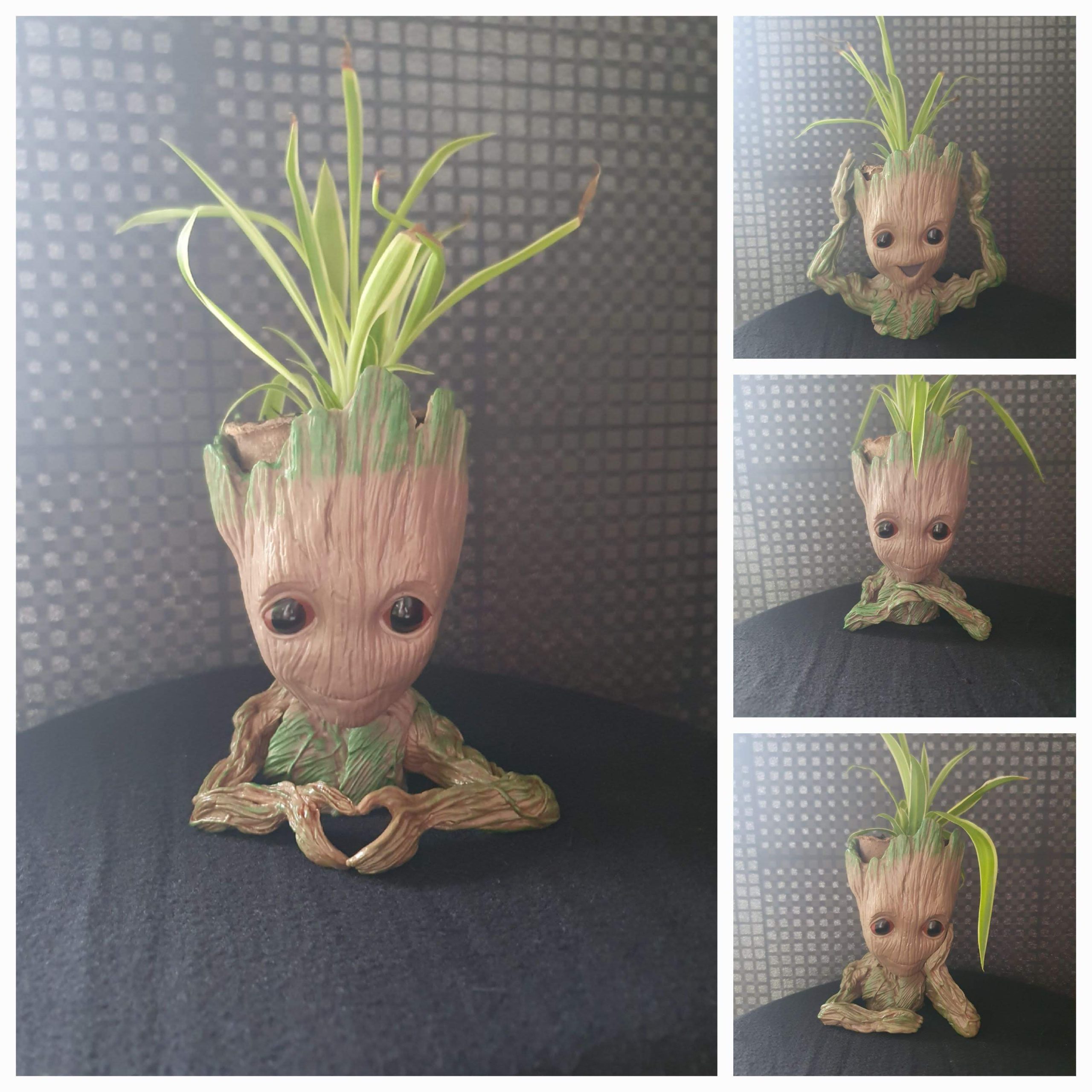 4 modèles pot groot